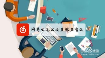 網(wǎng)易云音樂與云直聘的鯨魚音效設(shè)置指引